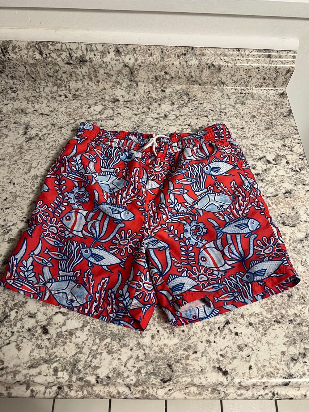 Janie and Jack Coral Sea Print Swim Trucks